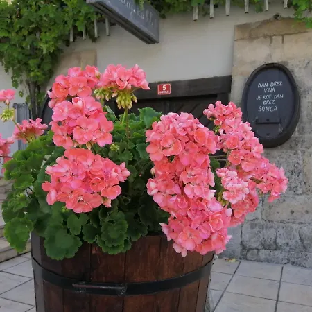 Apartmaji Svetinje Apartman
