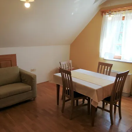 Apartmaji Svetinje Apartment *
